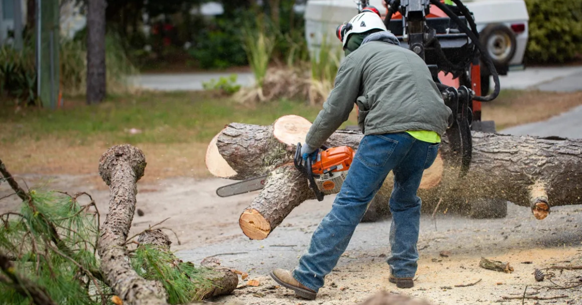 Affordable Tree Service
