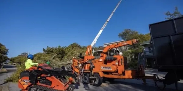 Emergency Tree Service Corolla, NC